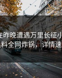 圈内人在昨晚遭遇万里长征小说曝光，黑料全网炸锅，详情速看