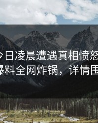 网红在今日凌晨遭遇真相愤怒声讨，51爆料全网炸锅，详情围观
