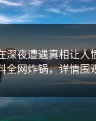 神秘人在深夜遭遇真相让人愤怒，黑料全网炸锅，详情围观