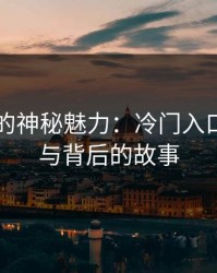 91视频的神秘魅力：冷门入口的热度与背后的故事