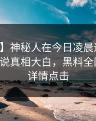 【独家】神秘人在今日凌晨遭遇万里长征小说真相大白，黑料全网炸锅，详情点击