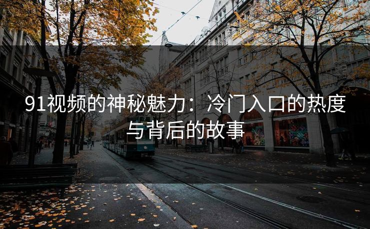 91视频的神秘魅力：冷门入口的热度与背后的故事