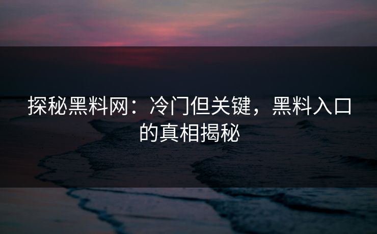 探秘黑料网：冷门但关键，黑料入口的真相揭秘